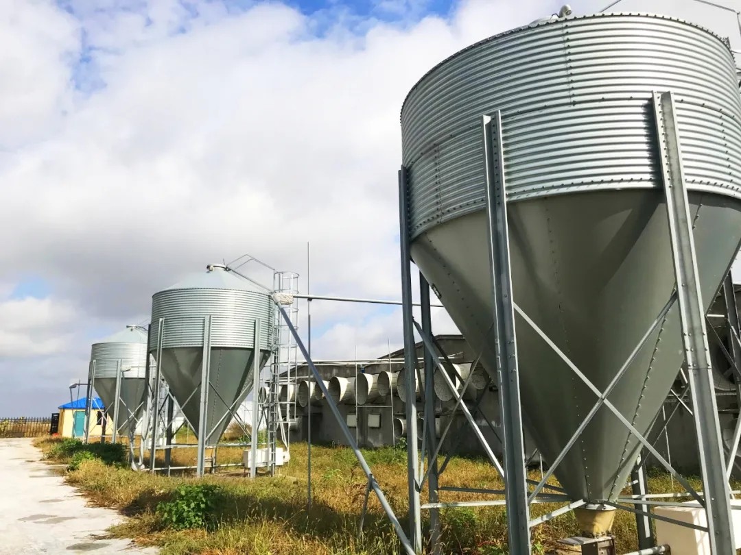 1640401656273437.jpg 1640401656273437.jpg